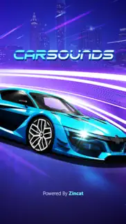 car sound rush problems & solutions and troubleshooting guide - 1