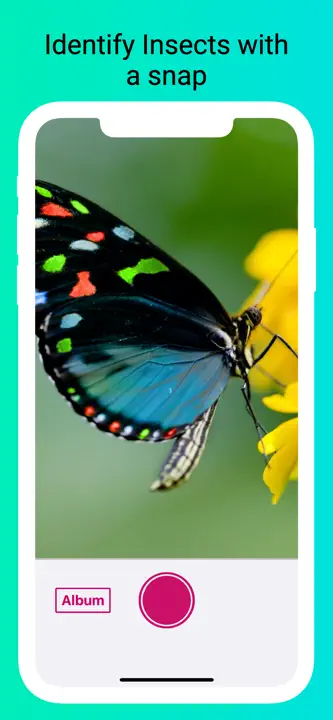 Insect Identifier: Screenshot 1 von 4