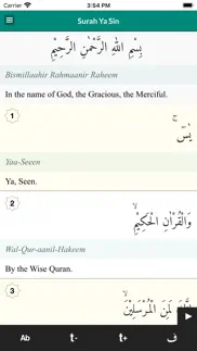 surah yaseen offline audio problems & solutions and troubleshooting guide - 2