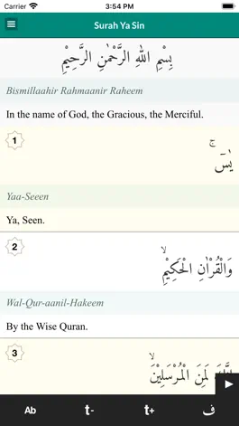 Game screenshot Surah Yaseen Offline Audio apk