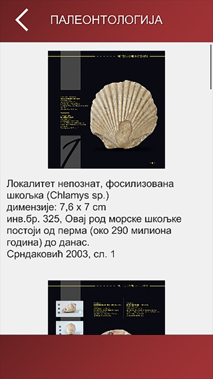 Zavicajni muzej Paracin