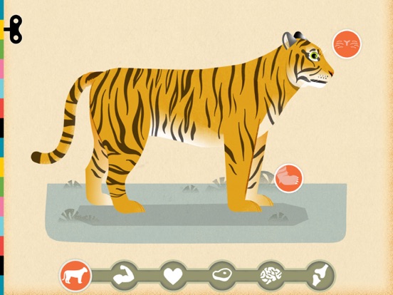 Zoogdieren door Tinybop iPad app afbeelding 4