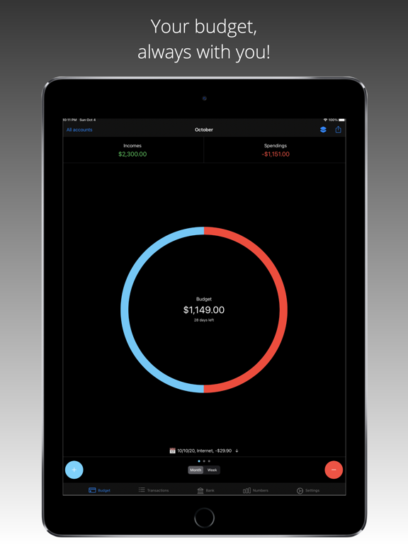 Screenshot #4 pour Dispensatio - Budget Manger