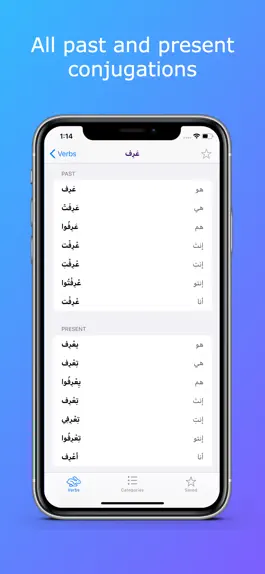 Game screenshot Levantine Arabic Verbs hack