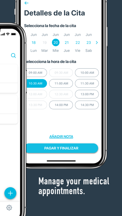 Consulta Screenshot