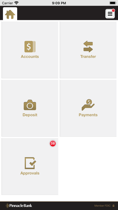 Pinnacle Bank Texas Business Screenshot