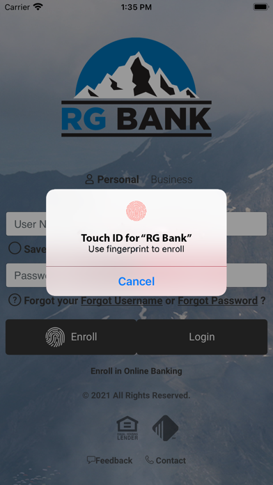 RG Bank screenshot 2