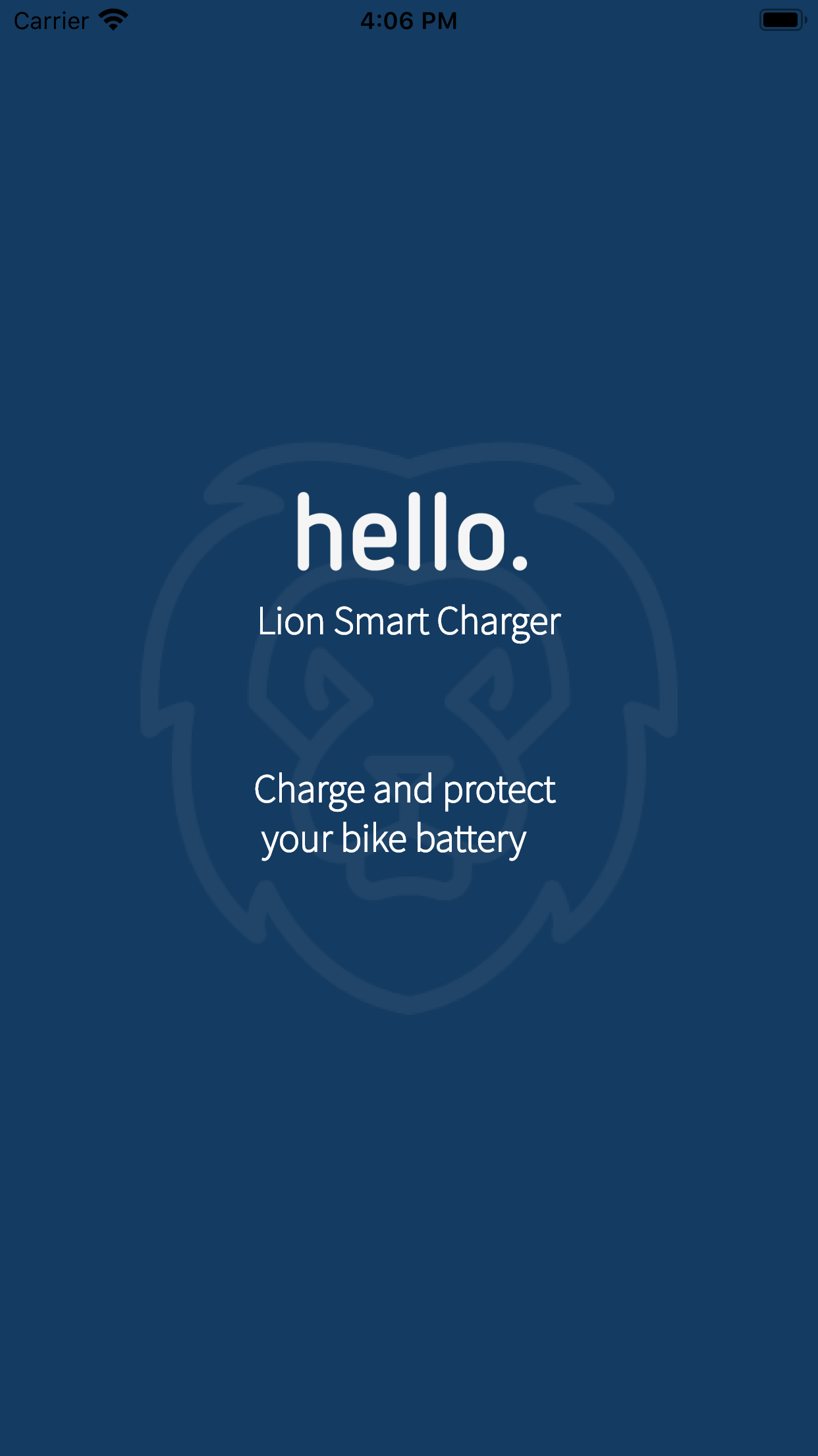 LiON Smart charger