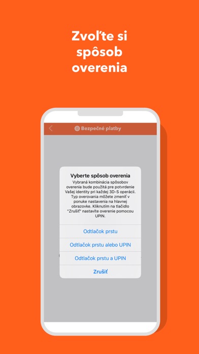 Bezpečné platby Screenshot