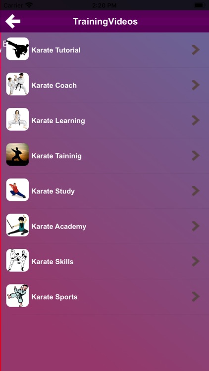 Karate Training screenshot-4