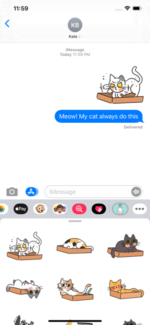 Cat Story Stickers