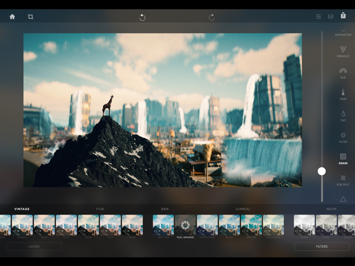 Urban Jungle Photo Editor