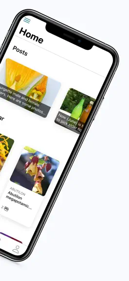 Game screenshot Right Plants Pro apk