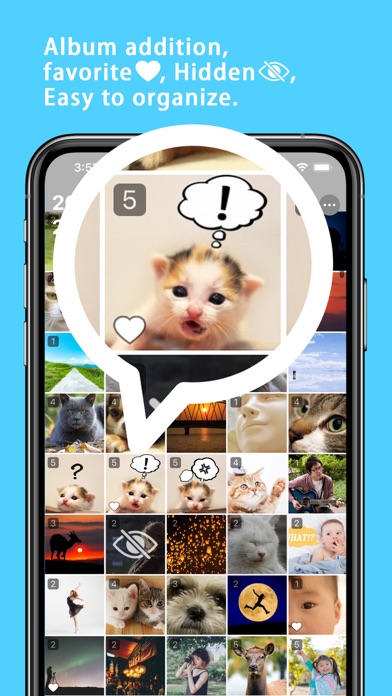 Album Tags Screenshot