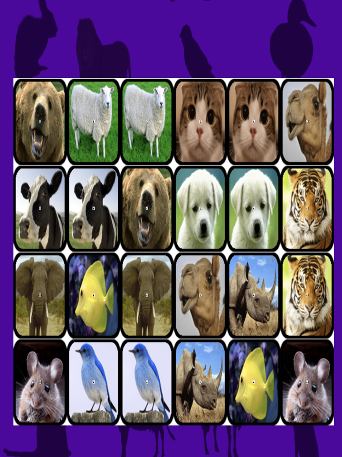 Ninus Animal Match Card Game