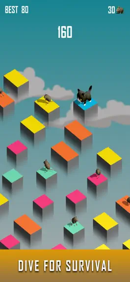 Game screenshot Zara Cat - New Games 2021 apk