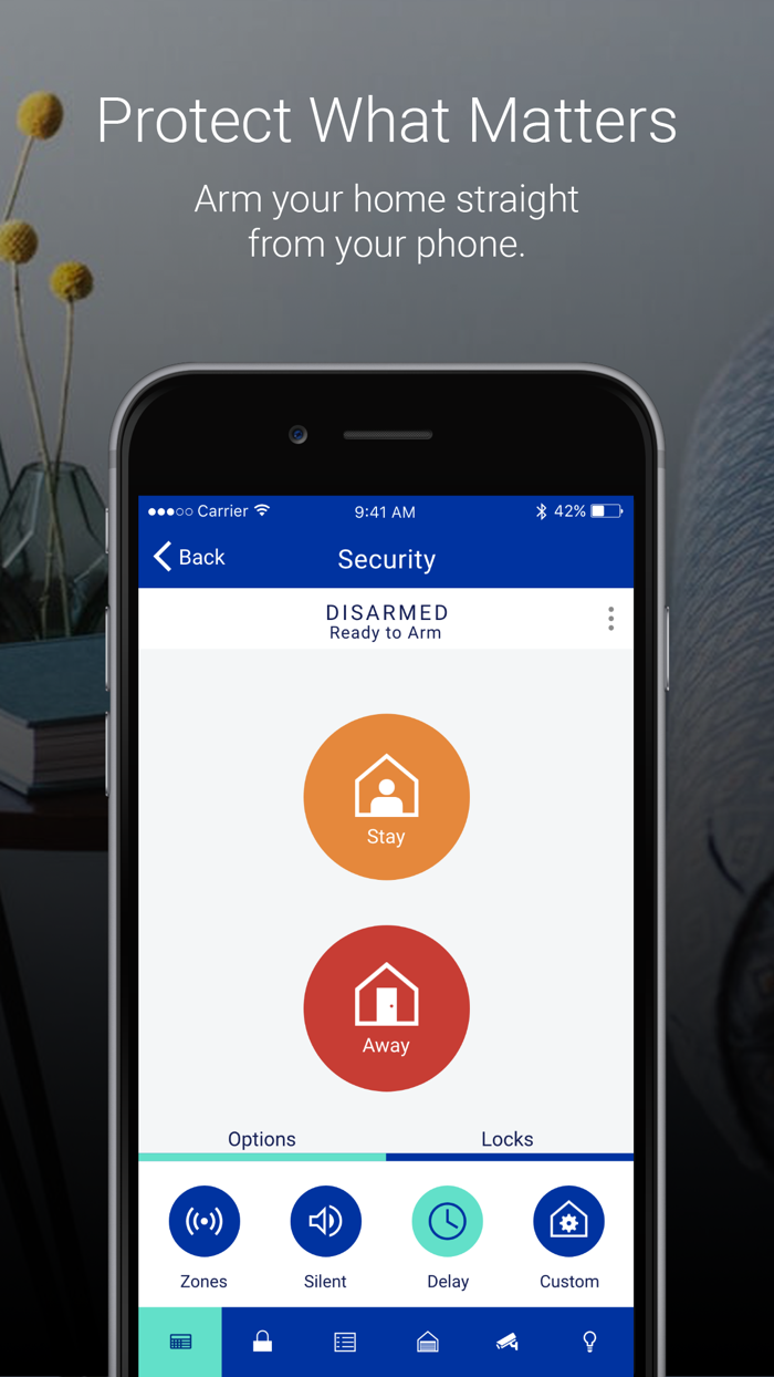 Brinks Home  Protect America