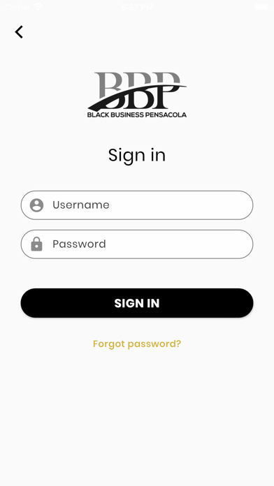 Black Business Pensacola Screenshot