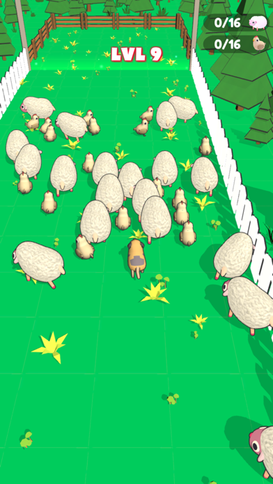 Farm Dog Herding Screenshot