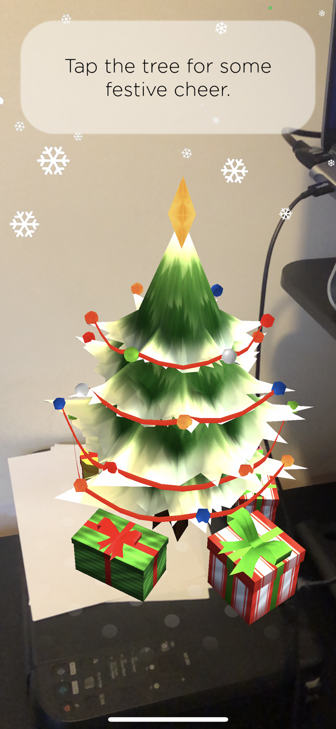 Appt Christmas Surprise