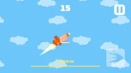 Game screenshot Super Hot Wings! apk