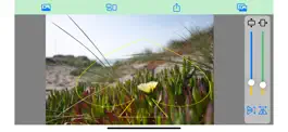 Game screenshot PicShaper hack