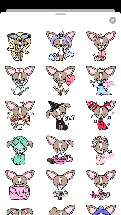 Screenshot #2 pour Bichon Chihuahua Cute Dogs