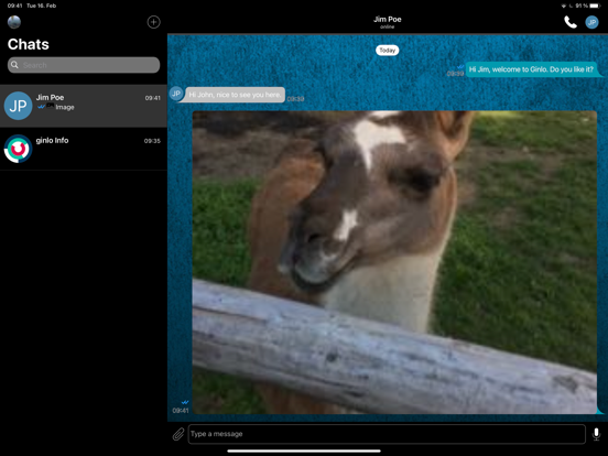 Screenshot #5 pour Ginlo Private