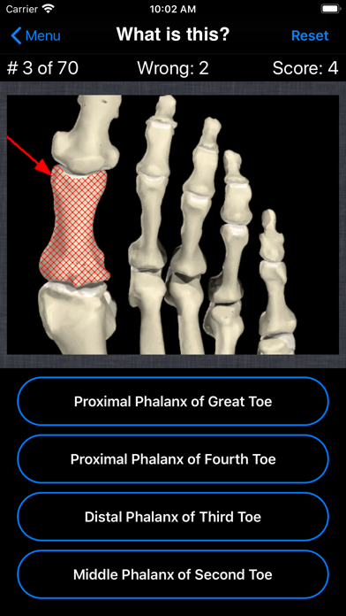 Anatomy Foot Quiz Screenshot