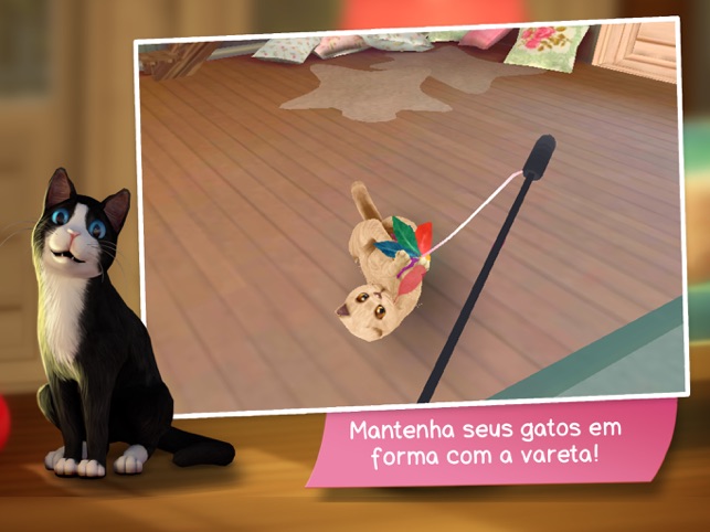 JOGOS DE CUIDAR DE ANIMAIS: Jogo de Cuidar de Gatos em Casa