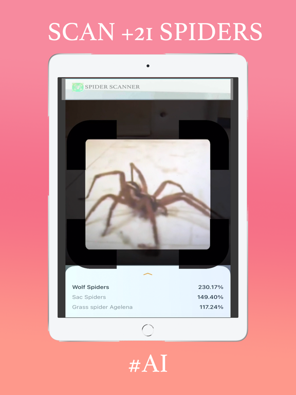 Screenshot #4 pour Spider Scanner