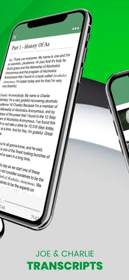 Game screenshot AA Joe & Charlie Big Book Work apk