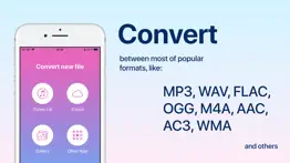 audio converter: convert mp3 iphone screenshot 1