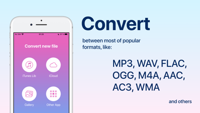 Audio Converter: convert mp3 Screenshot