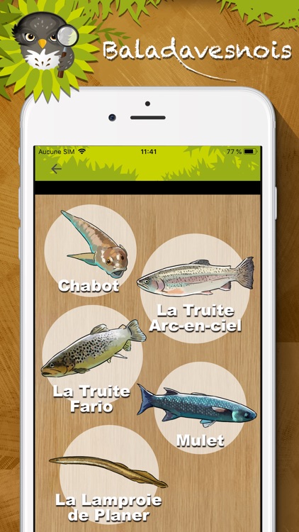 Baladavesnois screenshot-3