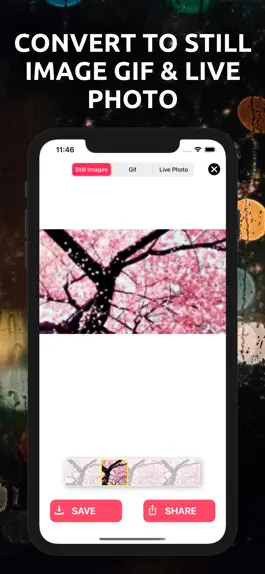 Game screenshot Gif Converter : Live Wallpaper apk