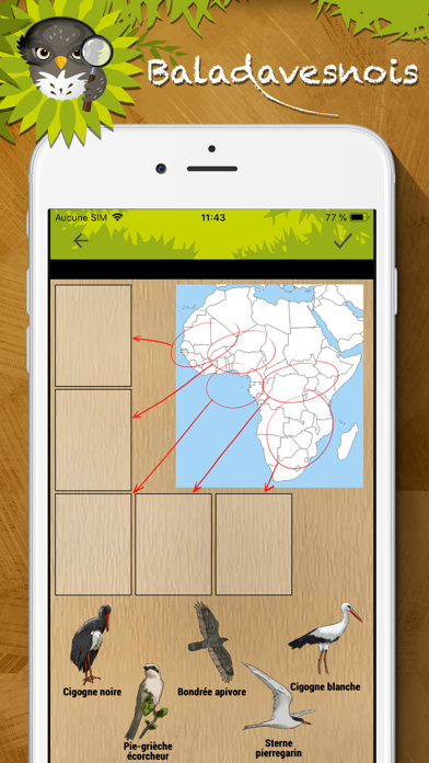 Baladavesnois Screenshot