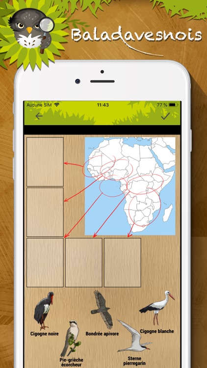 Baladavesnois screenshot-4