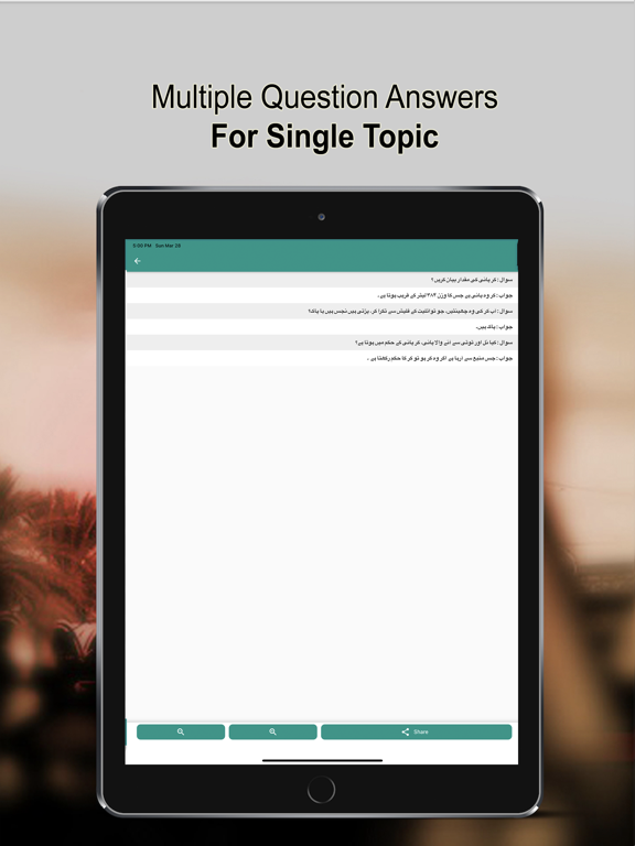 Screenshot #5 pour Sistani QA