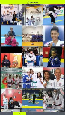 Game screenshot Vitrini hack