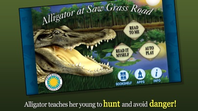 Alligator at Saw Grass Roadのおすすめ画像1