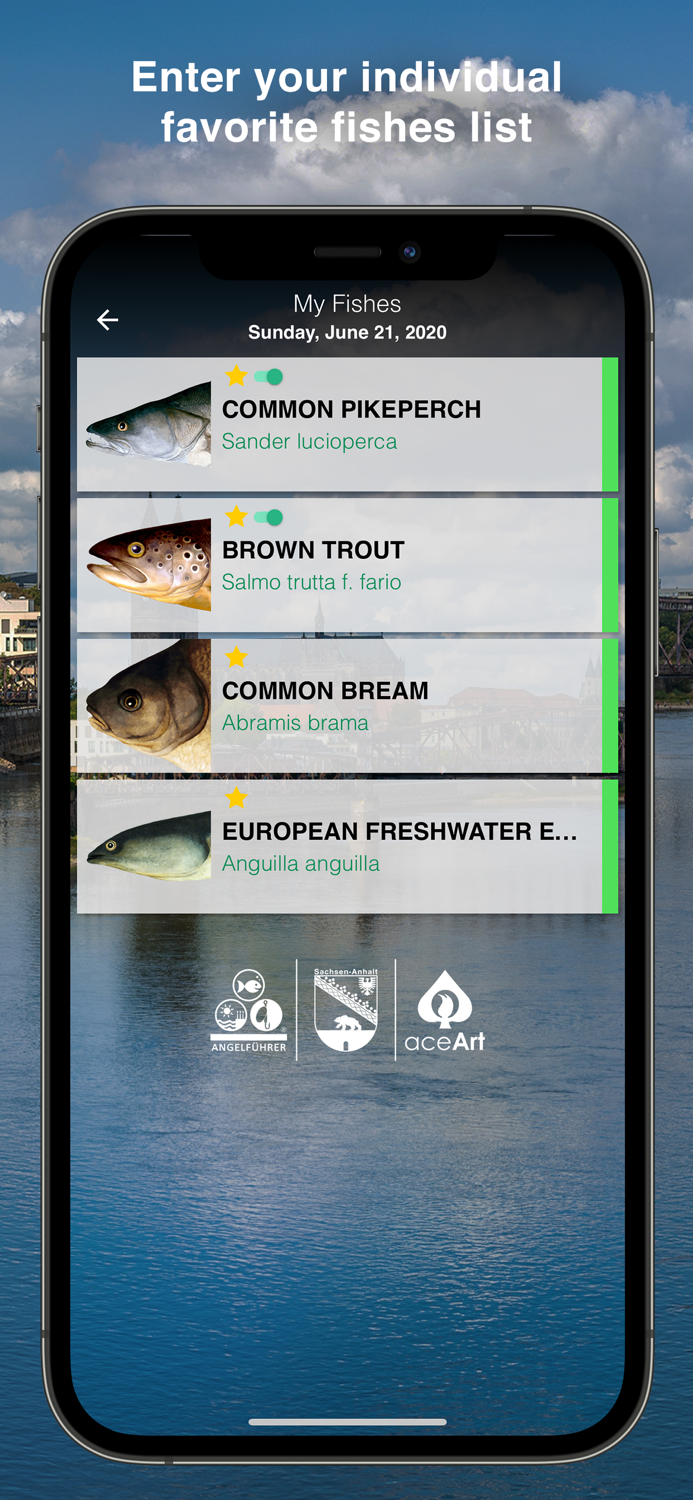 Fishguide Saxony-Anhalt