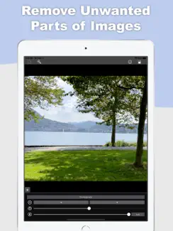 Replicator Tool - Clone Stamp iPad image 2