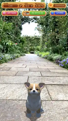 Game screenshot Pocket Pet apk