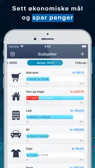 MoneyStats Inntekt Og Utgift iphone bilder 3