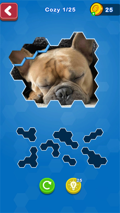 Screenshot #1 pour Hexa Puzzle Jigsaws