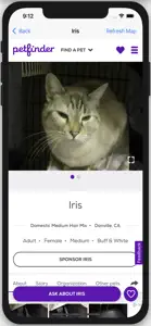 Adoptable Cats Near You! screenshot #3 for iPhone