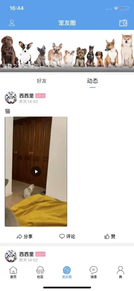 Game screenshot 宠物之家APP hack