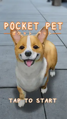 Game screenshot Pocket Pet mod apk