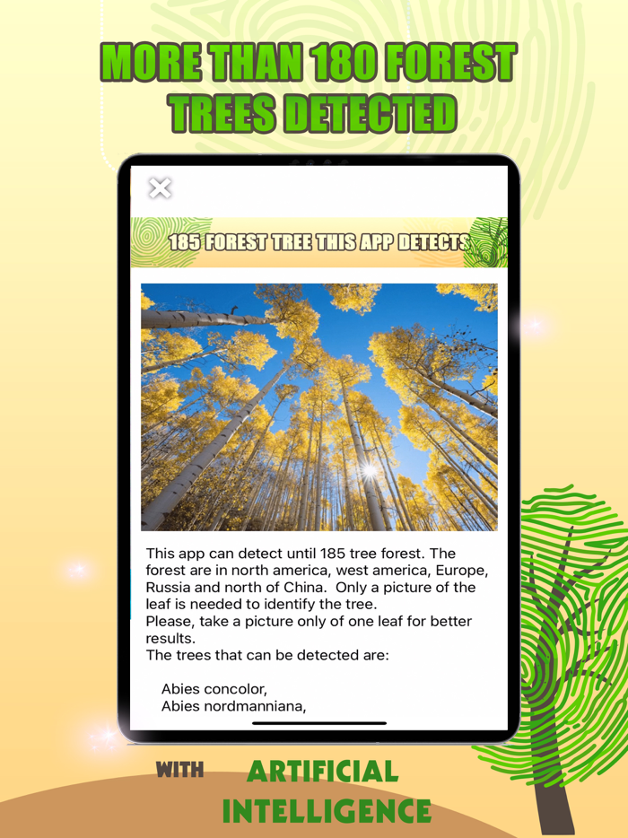 Tree Identification with AI